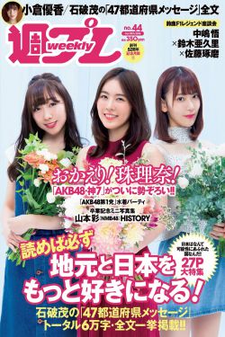 《藏海花》电视剧
